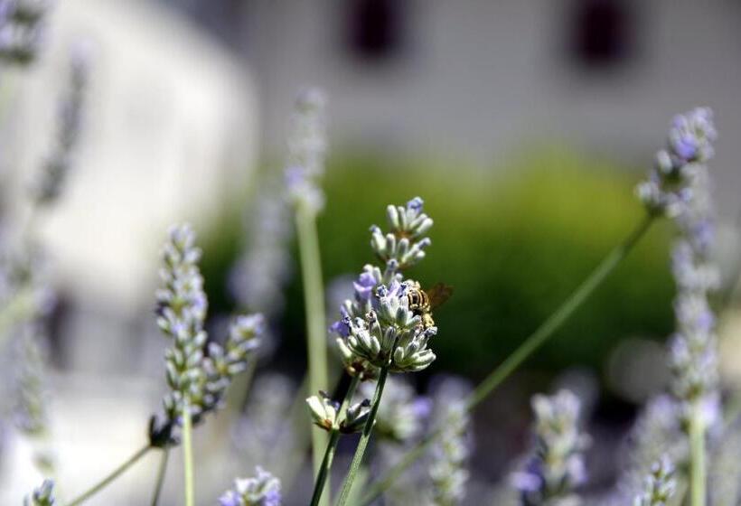 فندق Hôtel Les Grillons