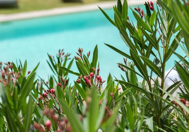 בית מלון כפרי Hôtel Restaurant Le Colombier