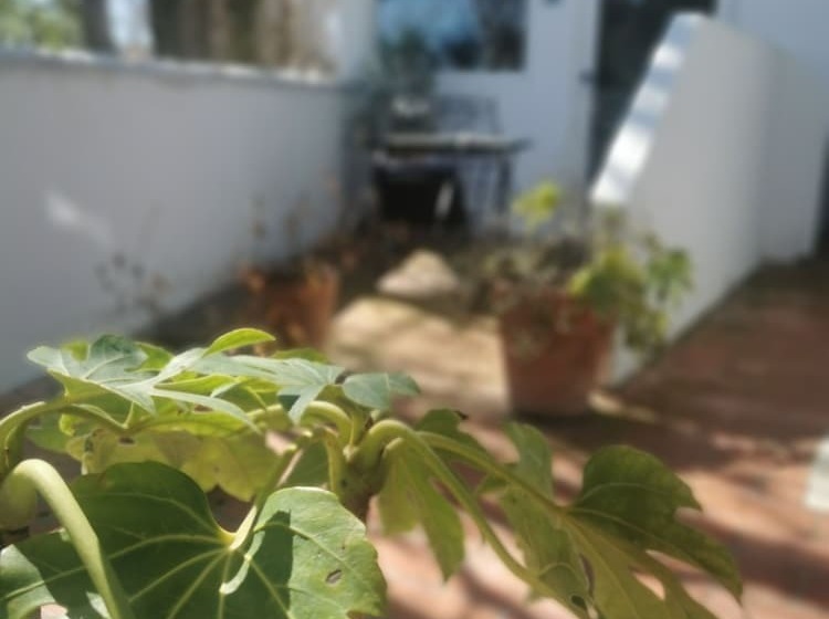 ホテル L Auberge Camarguaise