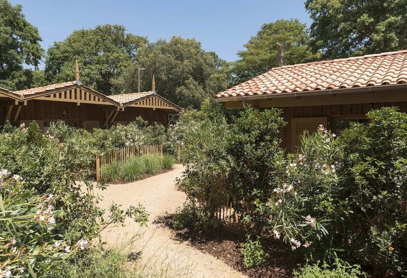 فندق La Guitoune