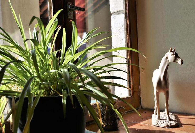 호텔 Logis Hôtel Restaurant La Mère Biquette