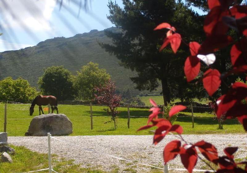 호텔 La Solana - Posada de Caballos