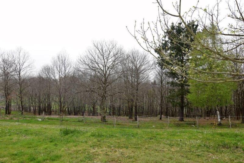 호텔 La Solana - Posada de Caballos