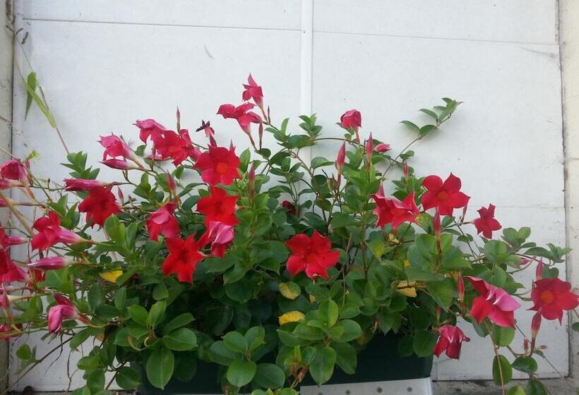 Отель La Truite De La Loue