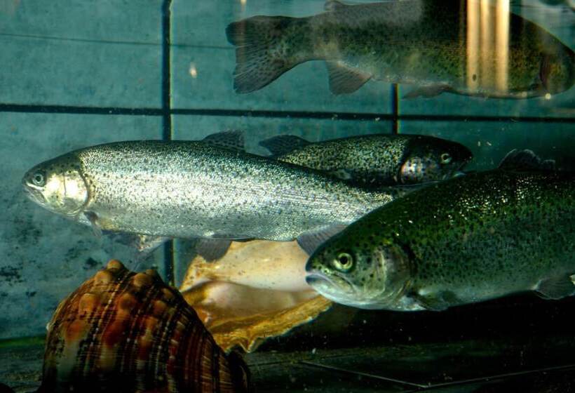 Отель La Truite De La Loue