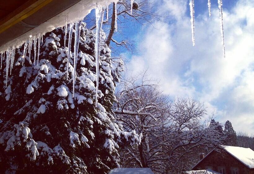 ホテル La Vieille Auberge Du Lac