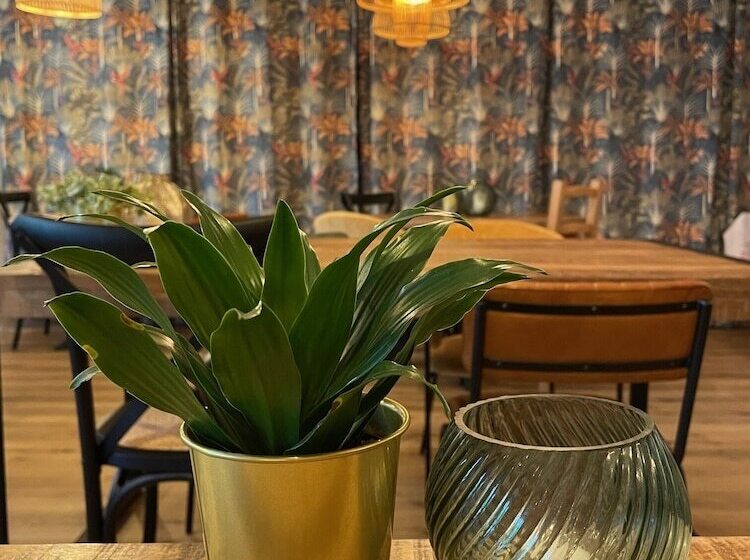 בית מלון כפרי Le Mont Brouilly