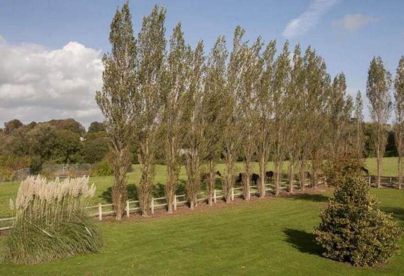 בית מלון כפרי Restaurant Le Sainte Mere