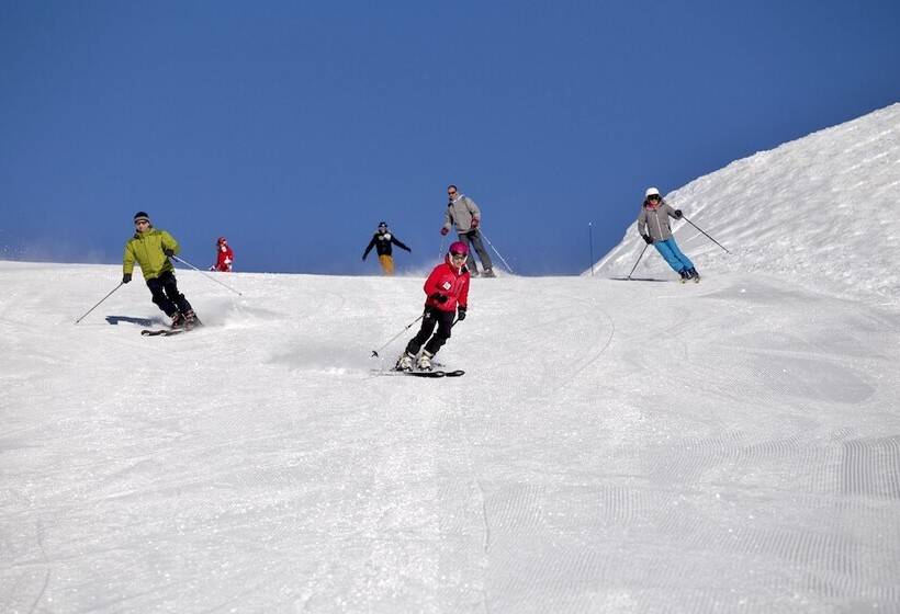 Отель Les Chalets Du Villard