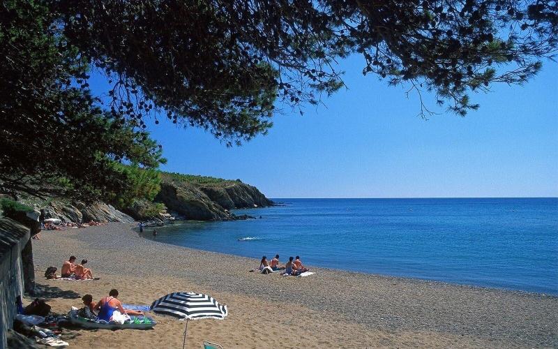 ホテル Les Jardins Du Cedre