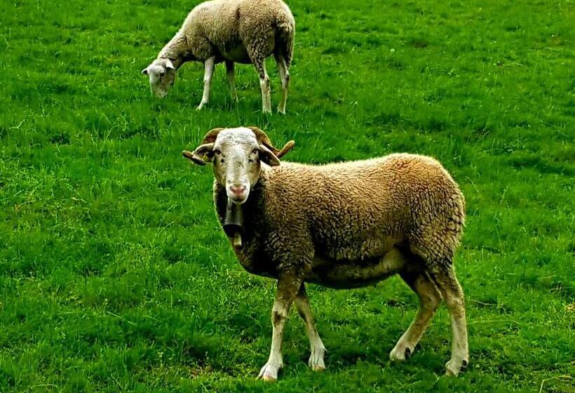 בית מלון כפרי Les Rochers