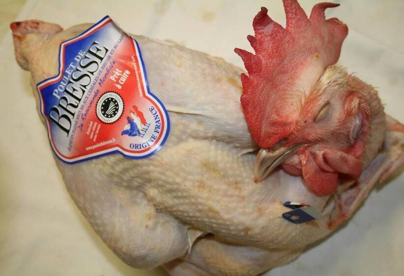 Отель Logis Hostellerie Bressane