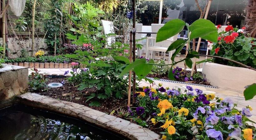 酒店 Logis Hôtel Les Bleuets