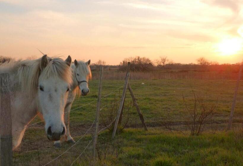ホテル Logis Le Nid Du Pont De Gau