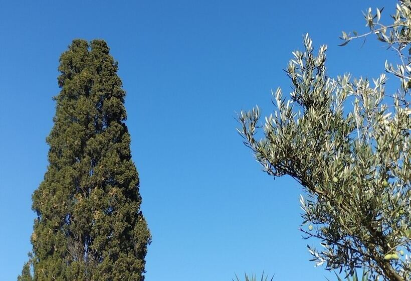 Logis Hotel Restaurant L Esquielle