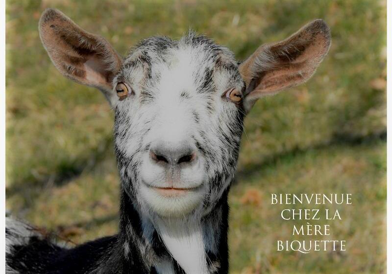 호텔 Logis Hôtel Restaurant La Mère Biquette