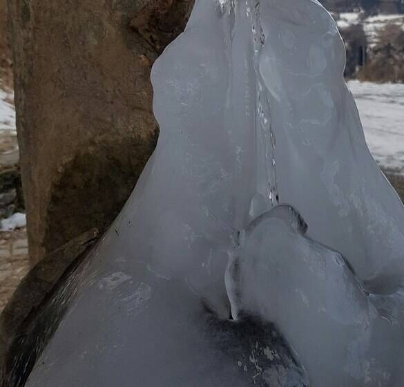 בית מלון כפרי Martin