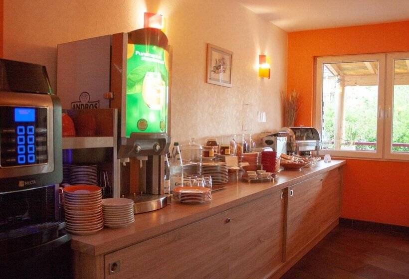 酒店 Relais Vosgien   Hôtel Restaurant La Table De Sophia