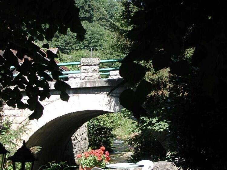 ホテル Résidence Soansa Du Gérardmer Col De La Schlucht