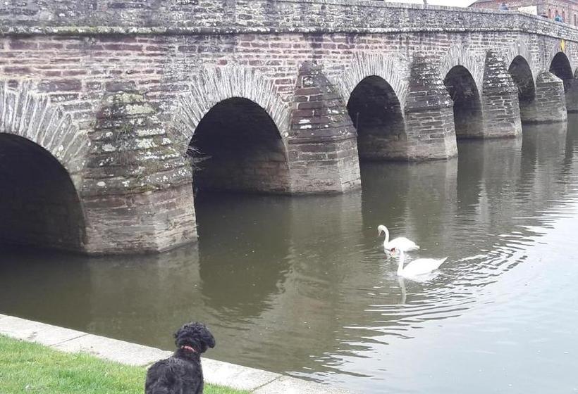 בית מלון כפרי Grand