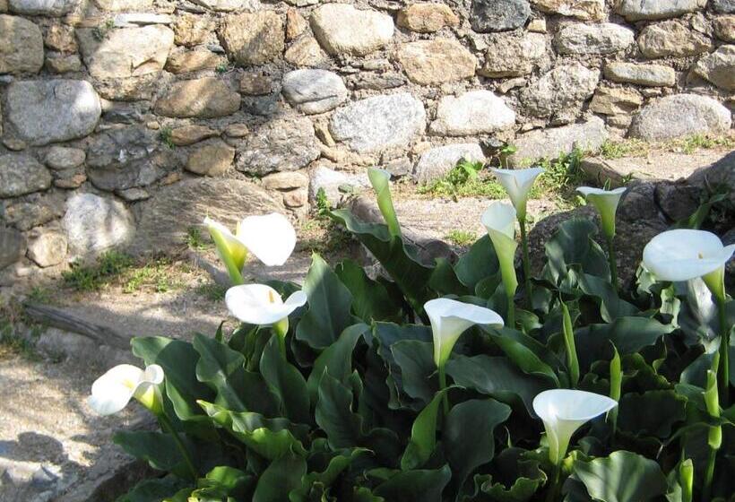 Logis Hotel Restaurant Le Bellevue