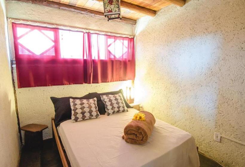 ペンション Morada Amazona