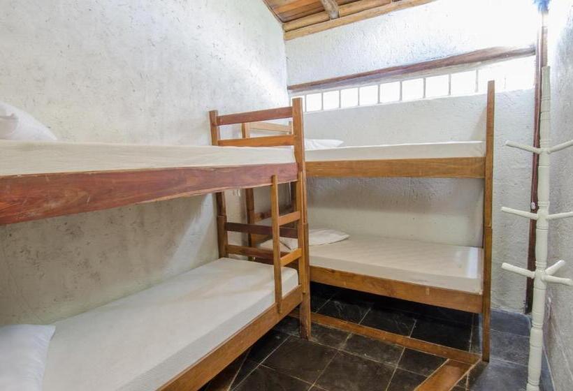 ペンション Morada Amazona