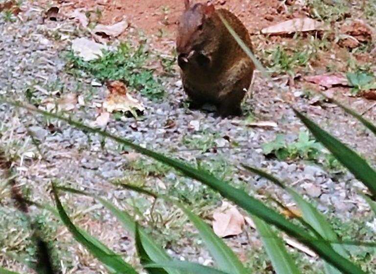 Общежитие Hostal Amador Familiar