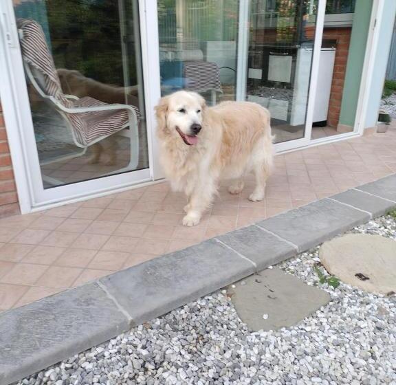 Alla Tana Del Bianconiglio