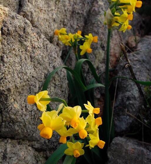 B&b La Chicca Di Francesca