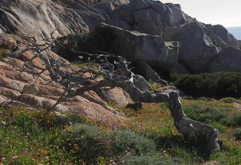 B&b La Chicca Di Francesca