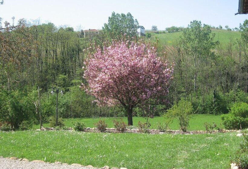 田舎風ホテル Agriturismo Cascina Tollu