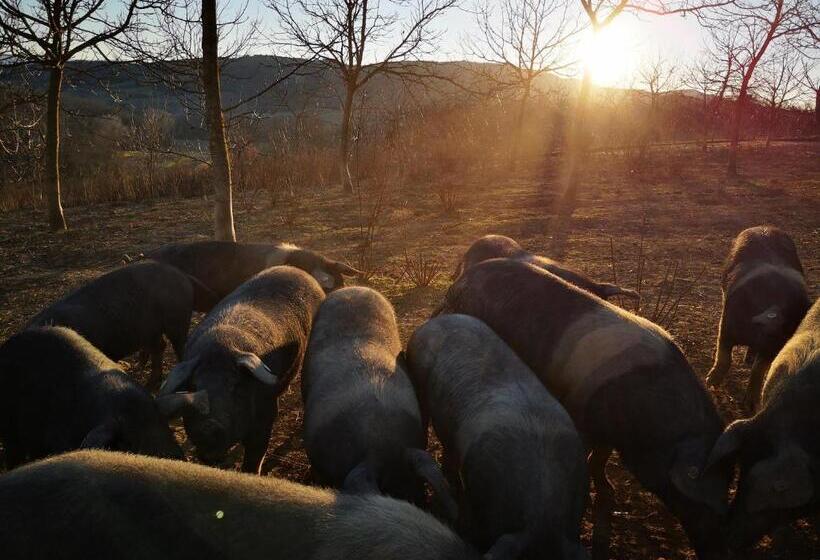 교외 호텔 Agriturismo Grecinella