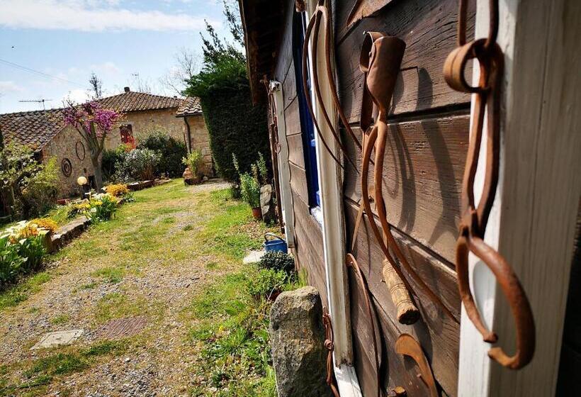 교외 호텔 Agriturismo Grecinella