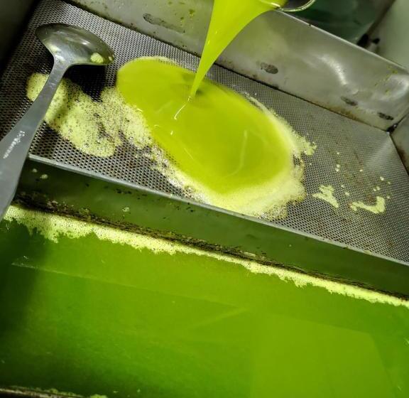 교외 호텔 Agriturismo Grecinella