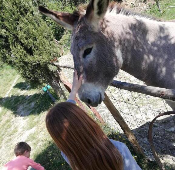 교외 호텔 Agriturismo Grecinella