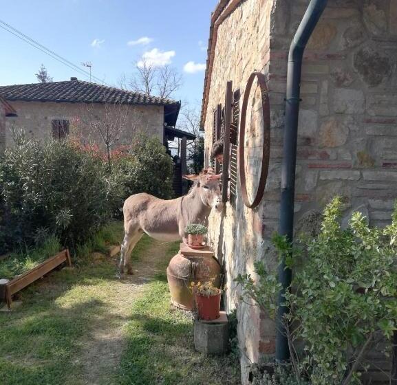 교외 호텔 Agriturismo Grecinella