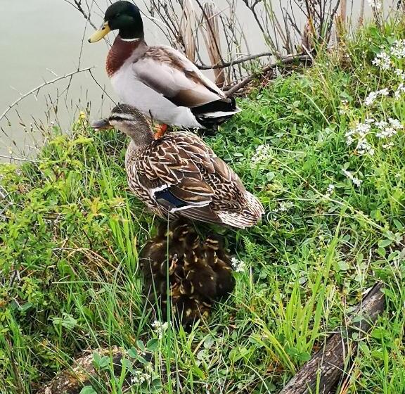 교외 호텔 Agriturismo Grecinella