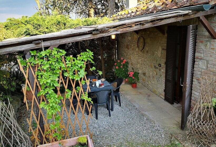 교외 호텔 Agriturismo Grecinella