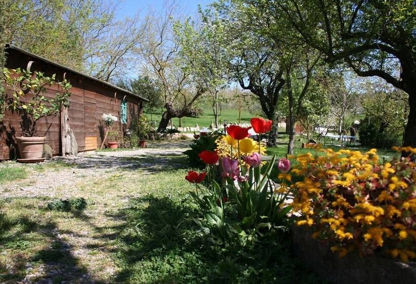 교외 호텔 Agriturismo Grecinella