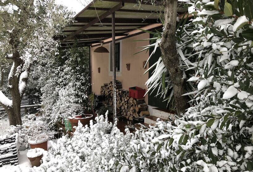 Сельский отель Agriturismo Podere Marchiano