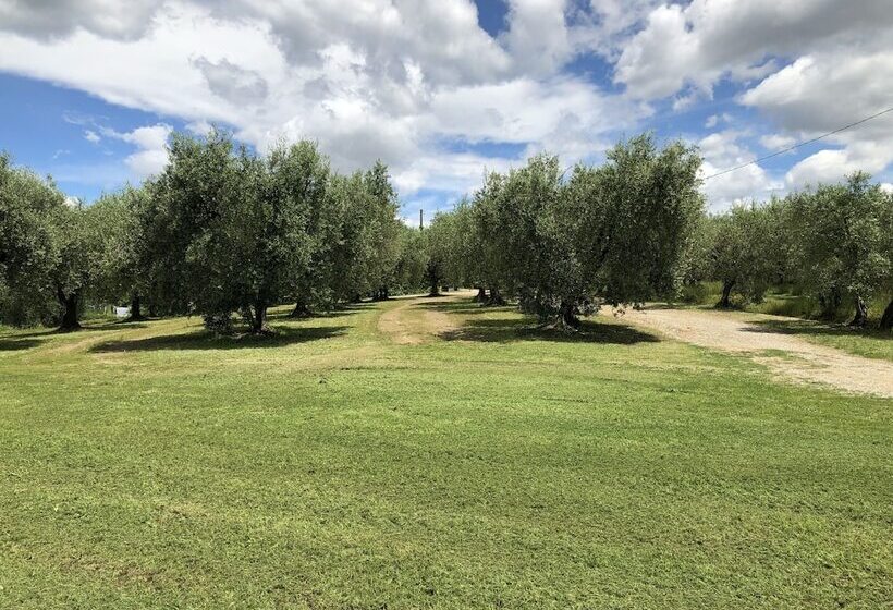 Сельский отель Agriturismo Podere Marchiano