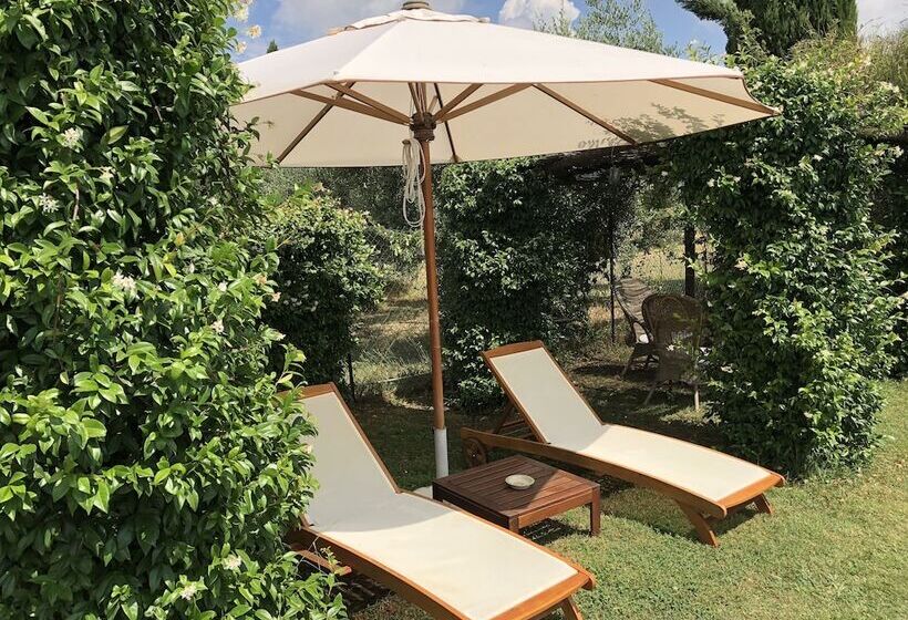 Сельский отель Agriturismo Podere Marchiano