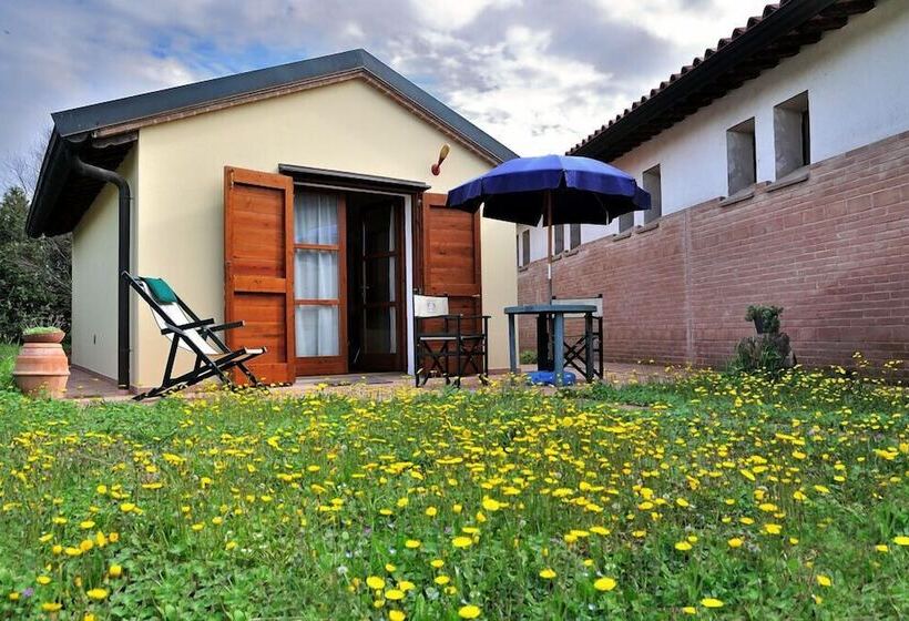 乡村酒店  Agriturismo Podere San Michele