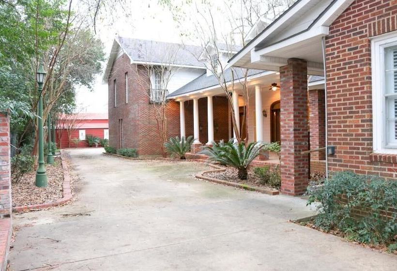 مبيت وإفطار Opus House