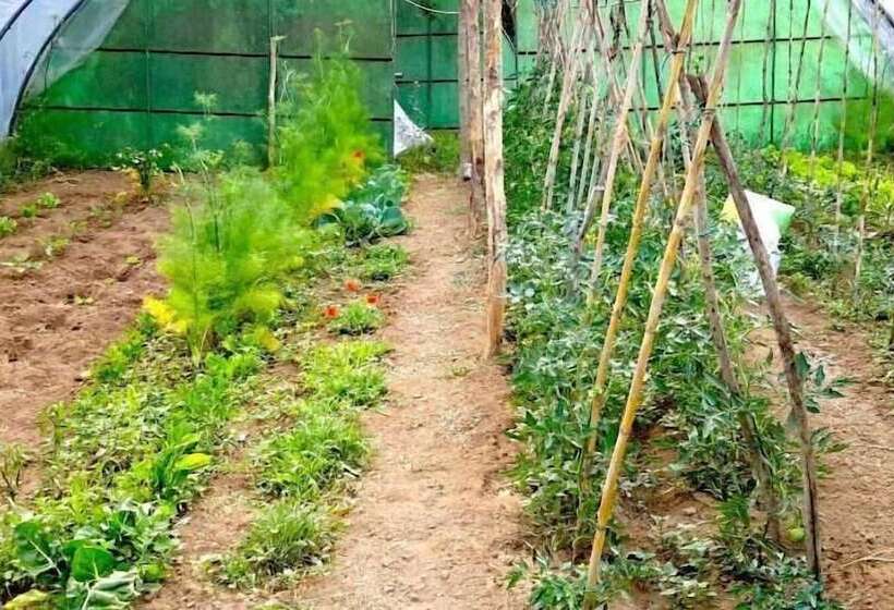 بنسيون I Poggetti