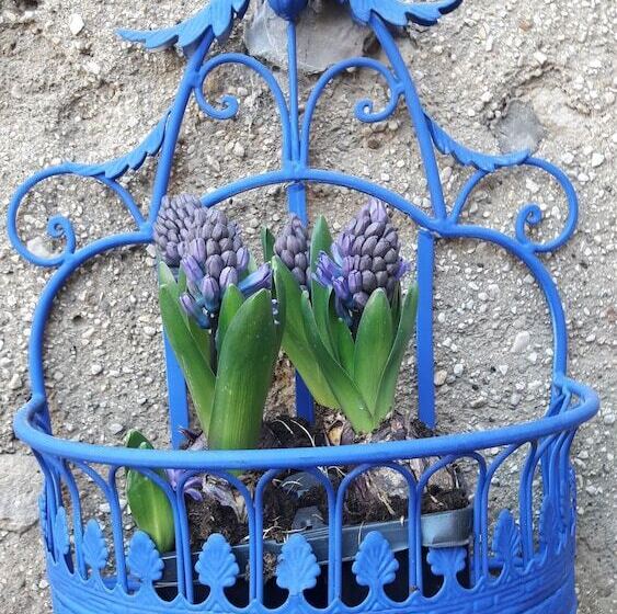 膳宿费 L Indigote