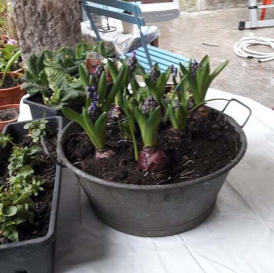 膳宿费 L Indigote