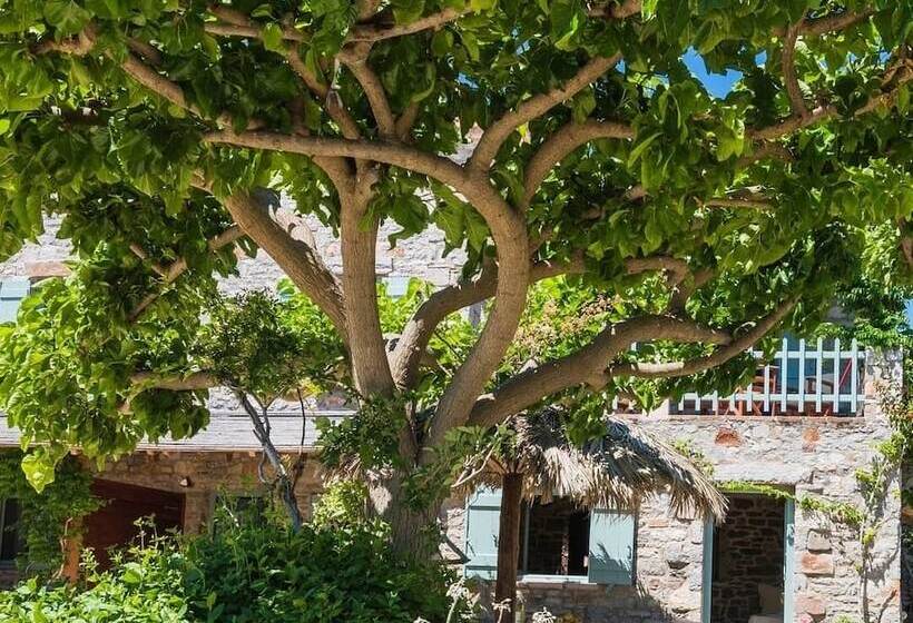 ペンション Palaeopoli Villas