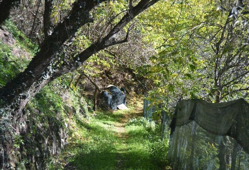 Cottage In Marliana With Garden